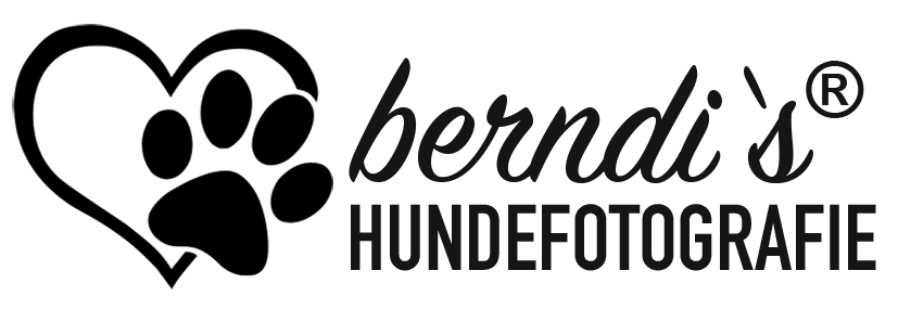 berndi's Hundefotografie